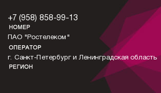 9588589913